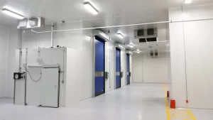 Recinto fiscalizado