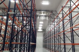Cámara de congelación